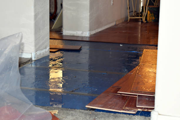 Professional Emergency Water Damage Restoration technician working in Brown City, MI